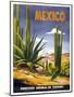 Mexico Cactus-null-Mounted Giclee Print