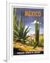 Mexico Cactus-null-Framed Premium Giclee Print