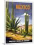 Mexico Cactus-null-Mounted Premium Giclee Print