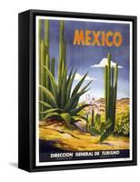 Mexico Cactus-null-Framed Stretched Canvas