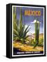 Mexico Cactus-null-Framed Stretched Canvas