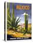 Mexico Cactus-null-Stretched Canvas