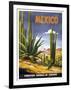 Mexico Cactus-null-Framed Giclee Print