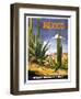 Mexico Cactus-null-Framed Giclee Print