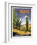 Mexico Cactus-null-Framed Giclee Print