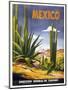 Mexico Cactus-null-Mounted Giclee Print