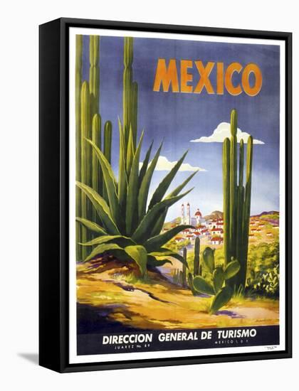 Mexico Cactus-null-Framed Stretched Canvas