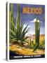 Mexico Cactus-null-Stretched Canvas
