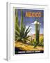 Mexico Cactus-null-Framed Giclee Print