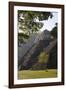 Mexico, Chiapas, Palenque, Mayan Temple of Inscriptions-Frans Lemmens-Framed Photographic Print