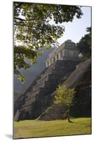 Mexico, Chiapas, Palenque, Mayan Temple of Inscriptions-Frans Lemmens-Mounted Photographic Print