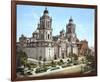 Mexico City Assumption Cathedral-null-Framed Art Print