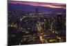 Mexico City at Twilight-Danny Lehman-Mounted Photographic Print