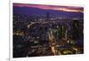 Mexico City at Twilight-Danny Lehman-Framed Photographic Print