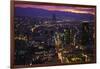 Mexico City at Twilight-Danny Lehman-Framed Photographic Print