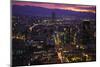 Mexico City at Twilight-Danny Lehman-Mounted Photographic Print