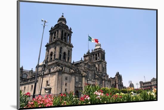 Mexico City Cathedral-1photo-Mounted Photographic Print