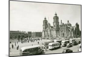 Mexico City Cathedral-null-Mounted Art Print