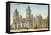 Mexico City Cathedral-null-Framed Stretched Canvas