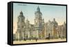 Mexico City Cathedral-null-Framed Stretched Canvas