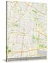 Mexico City, Mexico Map-null-Stretched Canvas