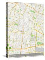 Mexico City, Mexico Map-null-Stretched Canvas