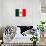 Mexico Flag Design with Wood Patterning - Flags of the World Series-Philippe Hugonnard-Art Print displayed on a wall