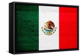 Mexico Flag Design with Wood Patterning - Flags of the World Series-Philippe Hugonnard-Framed Stretched Canvas