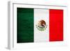 Mexico Flag Design with Wood Patterning - Flags of the World Series-Philippe Hugonnard-Framed Art Print