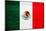 Mexico Flag Design with Wood Patterning - Flags of the World Series-Philippe Hugonnard-Mounted Art Print