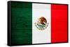 Mexico Flag Design with Wood Patterning - Flags of the World Series-Philippe Hugonnard-Framed Stretched Canvas