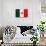 Mexico Flag Design with Wood Patterning - Flags of the World Series-Philippe Hugonnard-Stretched Canvas displayed on a wall