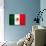 Mexico Flag Design with Wood Patterning - Flags of the World Series-Philippe Hugonnard-Art Print displayed on a wall