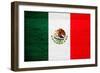 Mexico Flag Design with Wood Patterning - Flags of the World Series-Philippe Hugonnard-Framed Premium Giclee Print