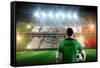 Mexico Football Player Holding Ball against Stadium Full of Mexico Football Fans-Wavebreak Media Ltd-Framed Stretched Canvas