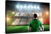 Mexico Football Player Holding Ball against Stadium Full of Mexico Football Fans-Wavebreak Media Ltd-Stretched Canvas