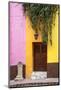 Mexico, Guanajuato, Door and Fountain in Guanajuato-Hollice Looney-Mounted Photographic Print