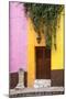 Mexico, Guanajuato, Door and Fountain in Guanajuato-Hollice Looney-Mounted Photographic Print