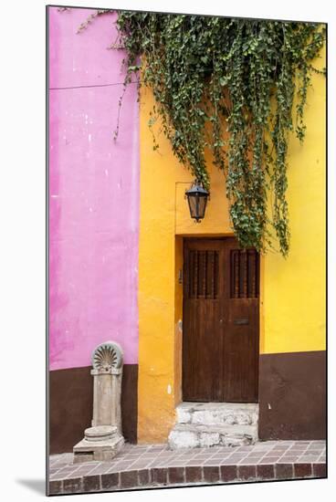 Mexico, Guanajuato, Door and Fountain in Guanajuato-Hollice Looney-Mounted Premium Photographic Print