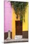 Mexico, Guanajuato, Door and Fountain in Guanajuato-Hollice Looney-Mounted Premium Photographic Print