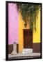 Mexico, Guanajuato, Door and Fountain in Guanajuato-Hollice Looney-Framed Photographic Print