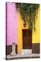 Mexico, Guanajuato, Door and Fountain in Guanajuato-Hollice Looney-Stretched Canvas