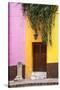 Mexico, Guanajuato, Door and Fountain in Guanajuato-Hollice Looney-Stretched Canvas