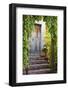 Mexico, Guanajuato, Doorway in Guanajuato-Hollice Looney-Framed Photographic Print