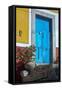 Mexico, Guanajuato the Colorful Homes and Buildings, Blue Front Door with Plant on Steps-Judith Zimmerman-Framed Stretched Canvas