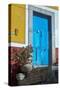 Mexico, Guanajuato the Colorful Homes and Buildings, Blue Front Door with Plant on Steps-Judith Zimmerman-Stretched Canvas