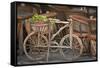 Mexico, Guanajuato. Wooden Bicycle with Potted Plant-Jaynes Gallery-Framed Stretched Canvas