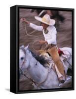 Mexico, Jalisco, Puerto Vallarta Cowboy attempts to rope a bull at the charro, rodeo-Merrill Images-Framed Stretched Canvas