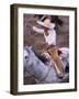 Mexico, Jalisco, Puerto Vallarta Cowboy attempts to rope a bull at the charro, rodeo-Merrill Images-Framed Photographic Print