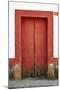 Mexico, Jalisco, San Sebastian del Oeste. Colorful Rustic Door-Steve Ross-Mounted Photographic Print